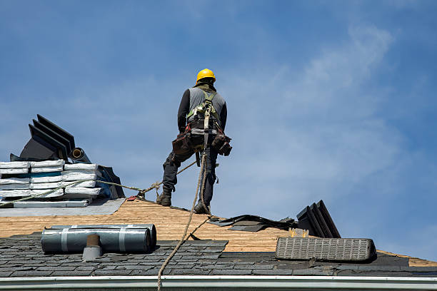 Professional Storm Damage Roof Repair technician working in Norton, KS